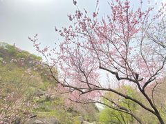 -武汉姚家山旅游景区