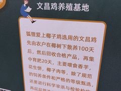 -狐狸爱上椰子鸡(滨江星光大道店)