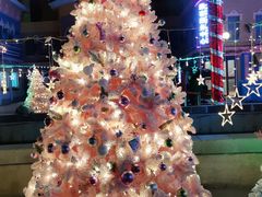 -青岛方特梦幻王国