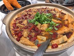 -丁老爷子苏香圆