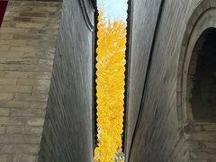 -万寿八仙宫