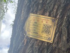 -宗角禄康公园