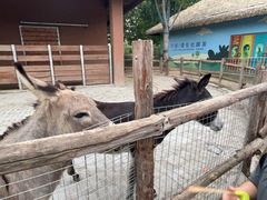 -祥源·阜阳生态乐园