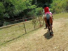 -青龙山国家森林公园
