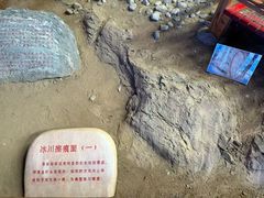 -中国第四纪冰川遗迹陈列馆