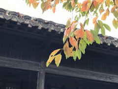 -中央公园(苏州工业园区)