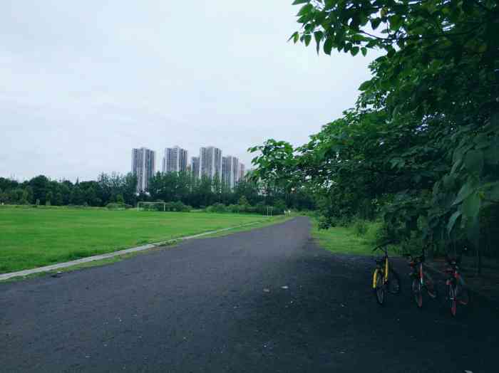 成都錦江體育公園-