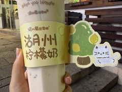 -猫的魔法密林(衣裳街店)
