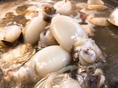 -拾下卜卜贝•海鲜火锅