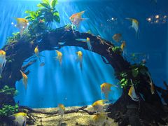 -海合安武汉极地海洋公园