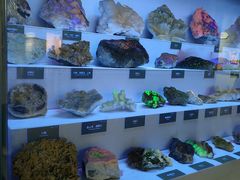 -湖南省地质博物馆