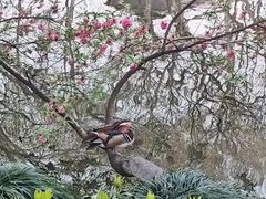 -西湖天地