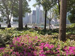 -北外滩滨江绿地