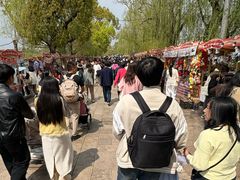 -翠湖公园