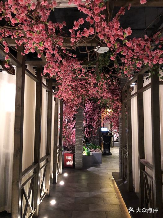 花千醉小酒馆(新街口店)图片 - 第435张