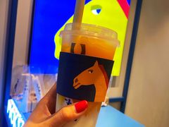 -春丽小马(济南恒隆广场店)