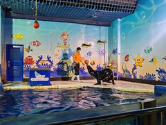 -太平洋海底世界