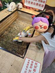 -神奇动物撸宠馆·羊驼·小浣熊·异宠(豫园店)