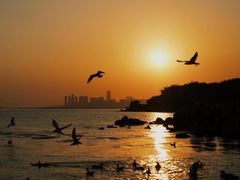 -深圳湾公园(南山区)