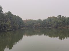 -东湖落雁景区