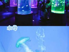 -南昌海洋公园