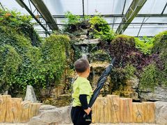 -兰陵国家农业公园