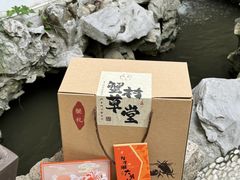 -蟹村草堂·苏式园林人文农家·大闸蟹