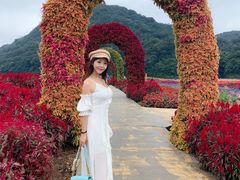 -广州市石门国家森林公园