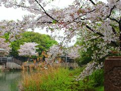 -玉山公园