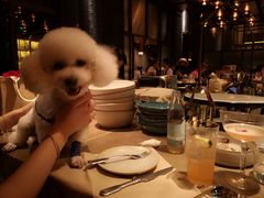 -JUJU韩式烤肉·干杯小酒馆
