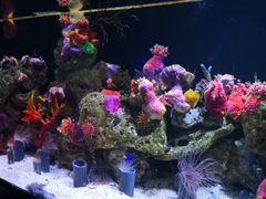 -洛阳龙门海洋馆