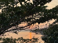 -深圳湾公园(南山区)