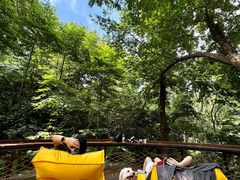 -黄陂区野村谷景区