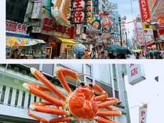 -蟹道乐(道顿堀本店)