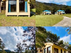 -海南热带雨林国家公园吊罗山景区
