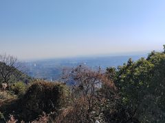 -杭州半山国家森林公园