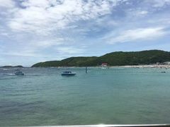 -珊瑚岛