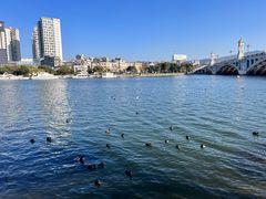 -大理洱海