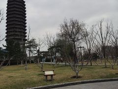 -西海子公园