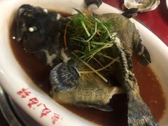 清蒸石斑鱼-渔友鲜海鲜加工(海鲜大世界店)