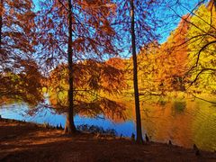 -上海海湾国家森林公园