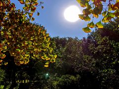 -国家植物园南园