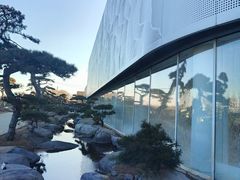 -罗红摄影艺术馆