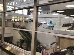 -厦门高崎国际机场-T3航站楼