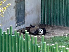 -沈阳森林动物园