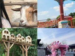 -祥源·阜阳生态乐园