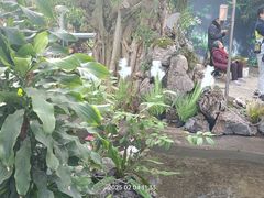 -国家植物园南园