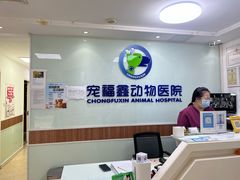 -宠福鑫动物医院·动物疾病诊疗中心(天通苑店)