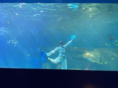 -重庆欢乐海底世界