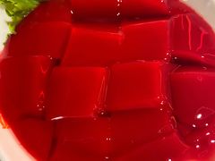 鲜鸭血-晓宇重庆火锅(赛格国际购物中心店)